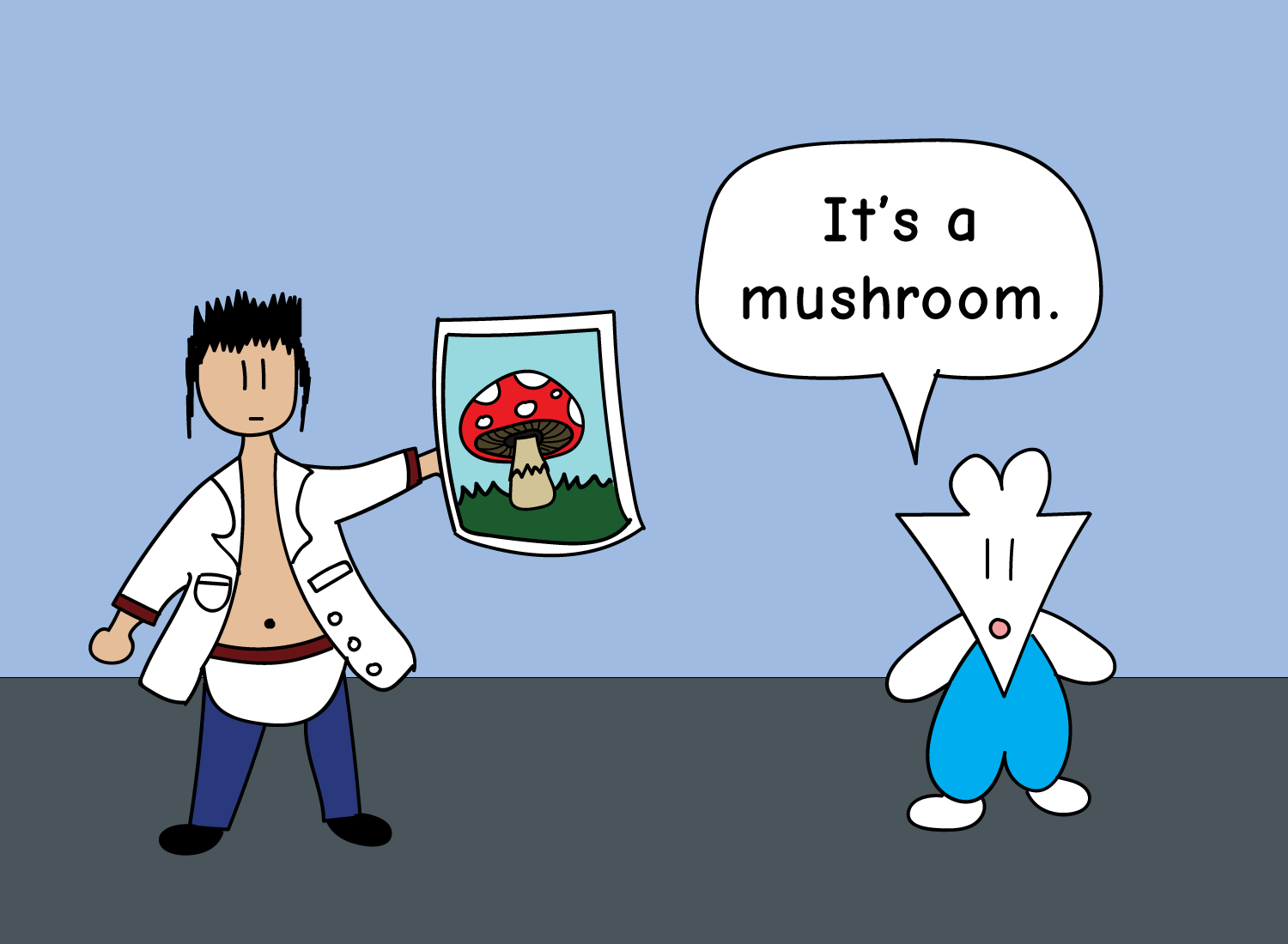 A mushroom experiment - replying to it